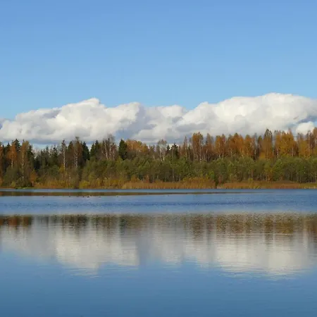 Daire Home, A Simple House Türi