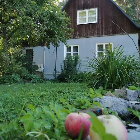 Daire Home, A Simple House