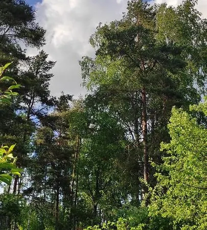 Appartement Puhkemaja - Murunella Türi