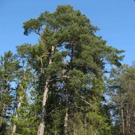 Home, A Simple House 公寓