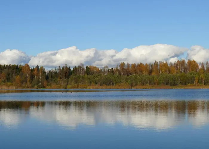 Apartment Home, Artapart Turi