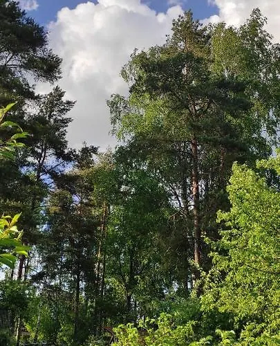 Apartment Home, Artapart Turi